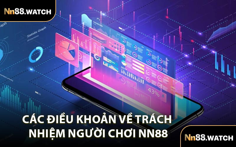 Các Điều Khoản Về Trách Nhiệm Người Chơi NN88