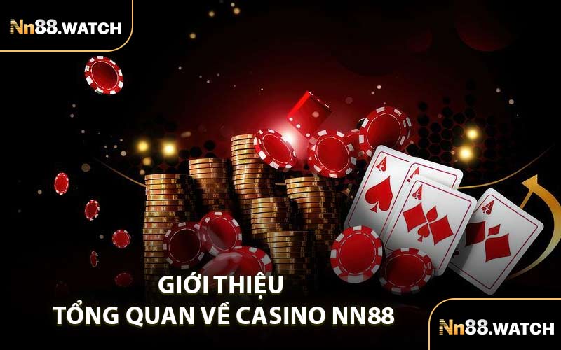 Giới Thiệu Tổng Quan Về Casino NN88