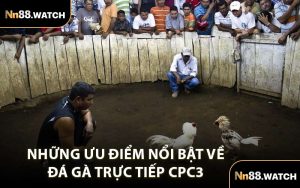 Những Ưu Điểm Nổi Bật Về Đá Gà Trực Tiếp CPC3 