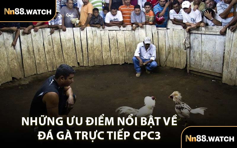 Những Ưu Điểm Nổi Bật Về Đá Gà Trực Tiếp CPC3