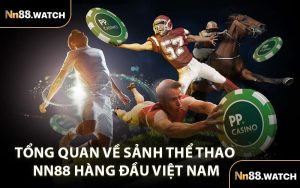 Tổng Quan Về Sảnh Thể Thao NN88 Hàng Đầu Việt Nam