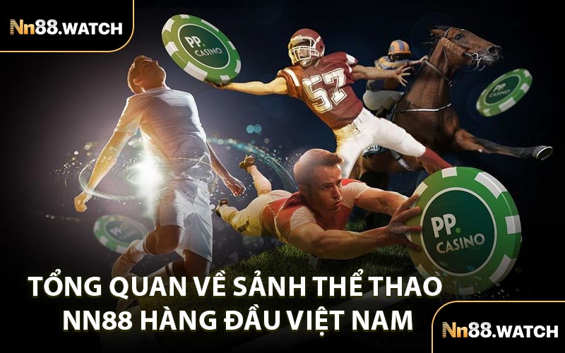 Tổng Quan Về Sảnh Thể Thao NN88 Hàng Đầu Việt Nam